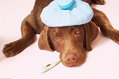 《明末：渊虚之羽》短片及艺术图 女主黑化后霸气